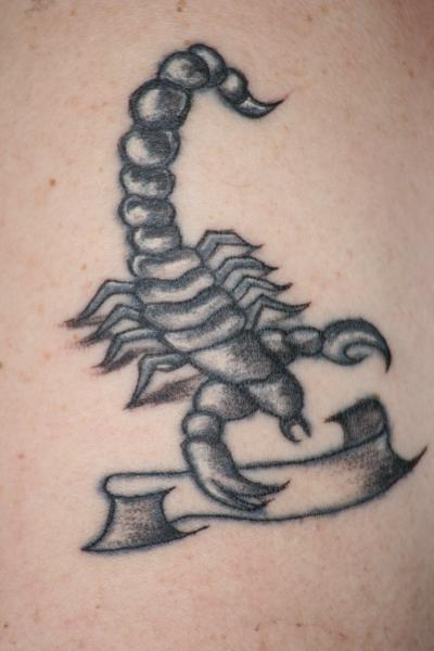 retouche scorpion de Gerard